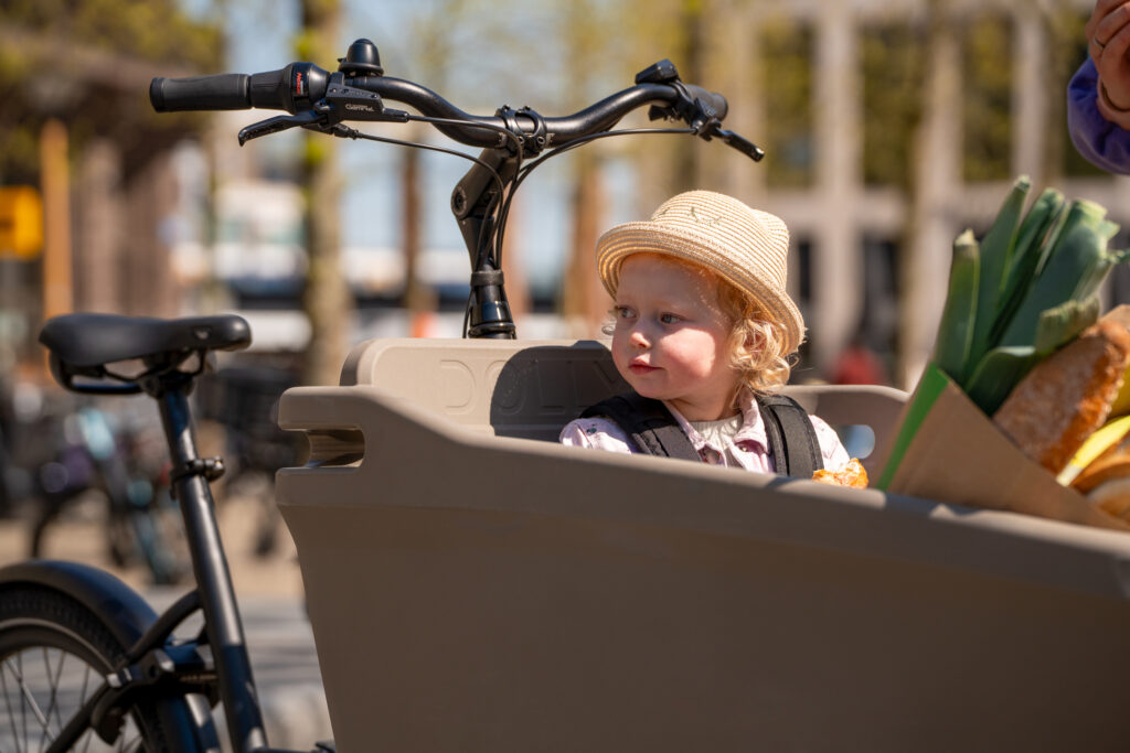 A child with shopping in a Dolly